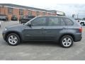 Platinum Gray Metallic - X5 xDrive 35i Photo No. 3