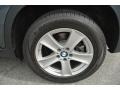 Platinum Gray Metallic - X5 xDrive 35i Photo No. 25