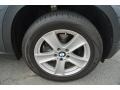 Platinum Gray Metallic - X5 xDrive 35i Photo No. 27