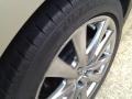 Satin Cashmere Metallic - GS 350 Photo No. 4