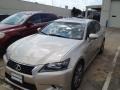 Satin Cashmere Metallic - GS 350 Photo No. 10