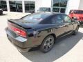 Pitch Black - Charger R/T AWD Photo No. 6
