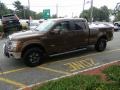 Golden Bronze Metallic - F150 Lariat SuperCrew 4x4 Photo No. 11