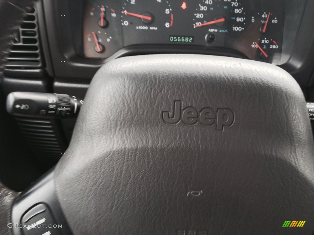 2002 Wrangler Sport 4x4 - Steel Blue Pearl / Agate Black photo #9
