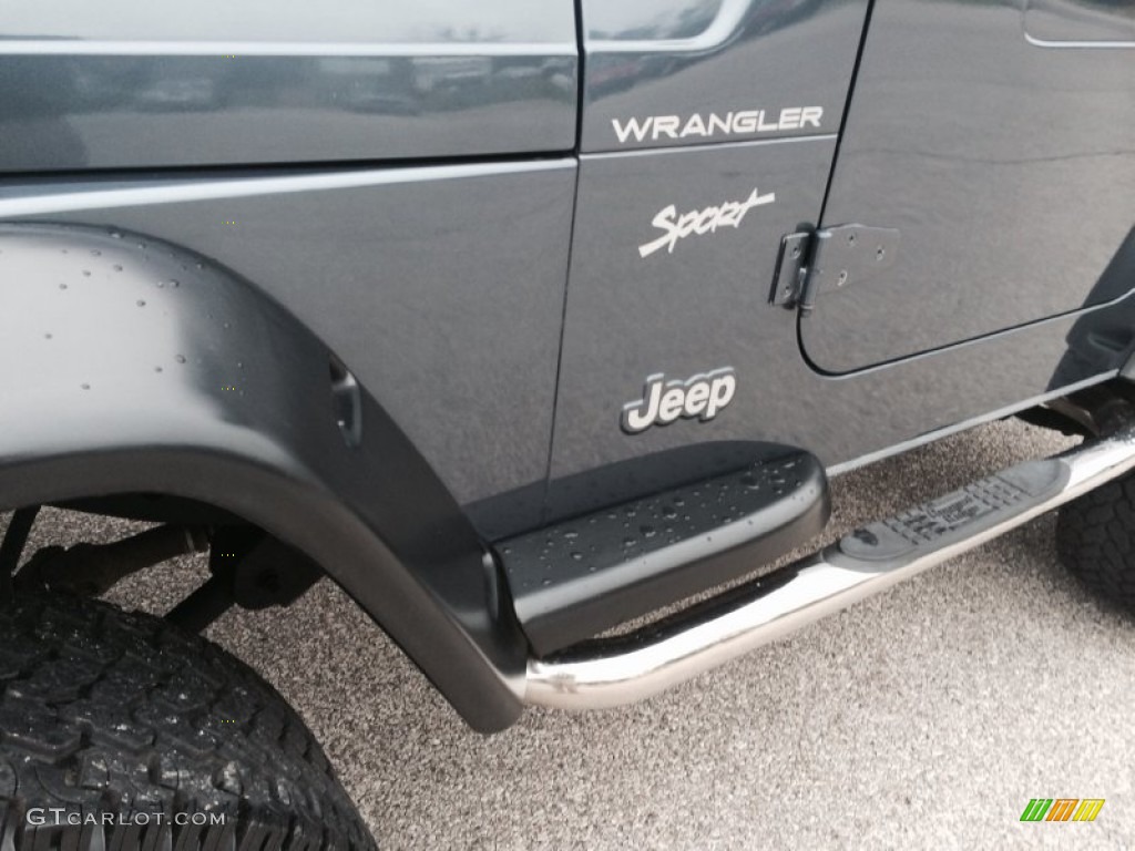 2002 Wrangler Sport 4x4 - Steel Blue Pearl / Agate Black photo #24