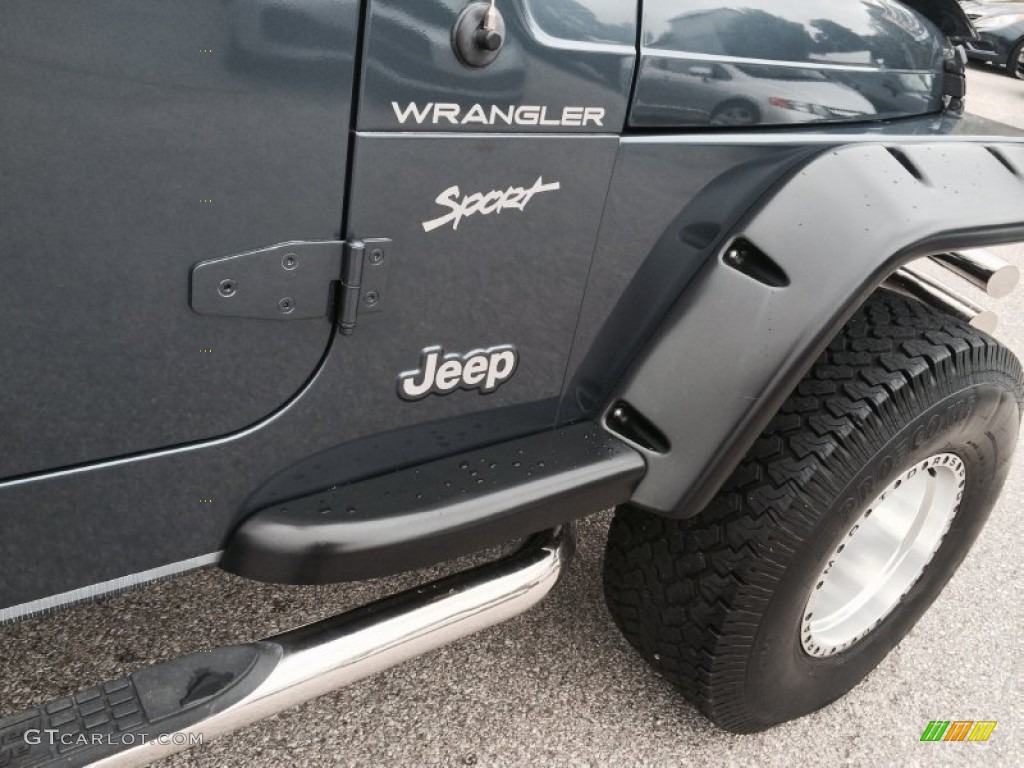 2002 Wrangler Sport 4x4 - Steel Blue Pearl / Agate Black photo #30