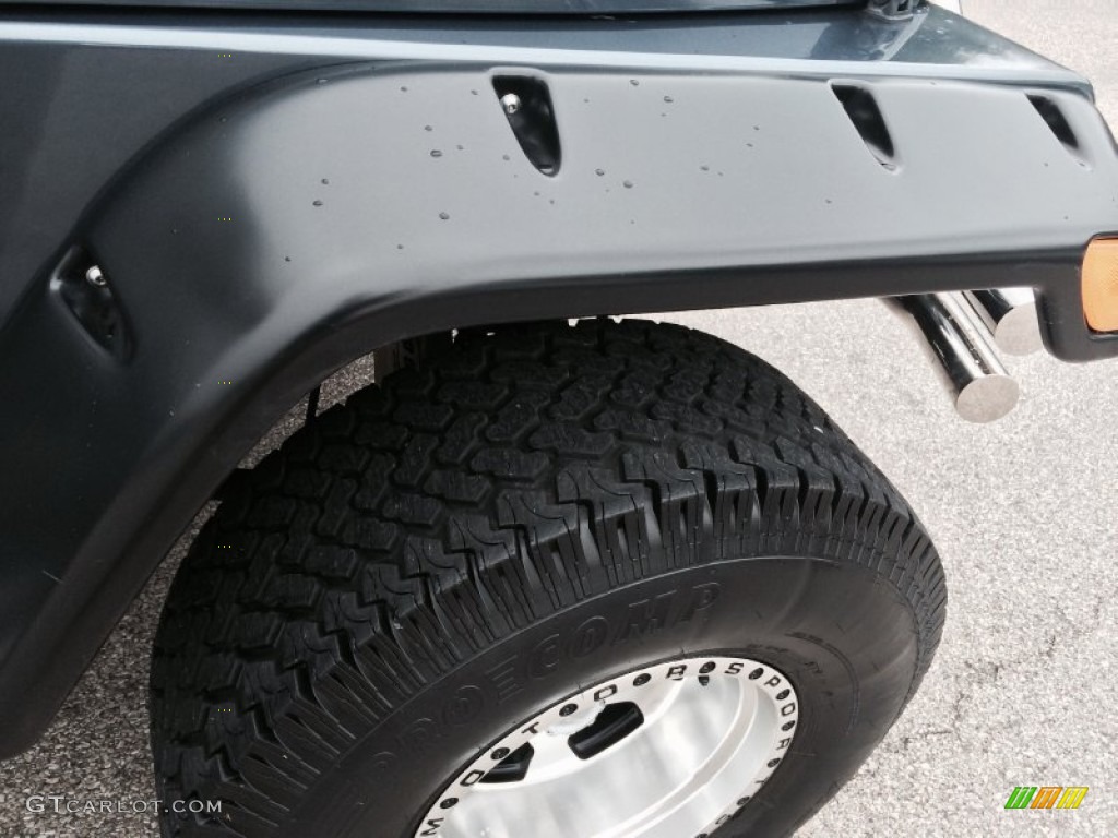 2002 Wrangler Sport 4x4 - Steel Blue Pearl / Agate Black photo #35