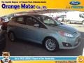 Ice Storm 2013 Ford C-Max Hybrid SEL