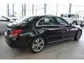 Black - C 300 4Matic Photo No. 2