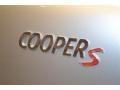Crystal Silver Metallic - Cooper S Countryman Photo No. 19