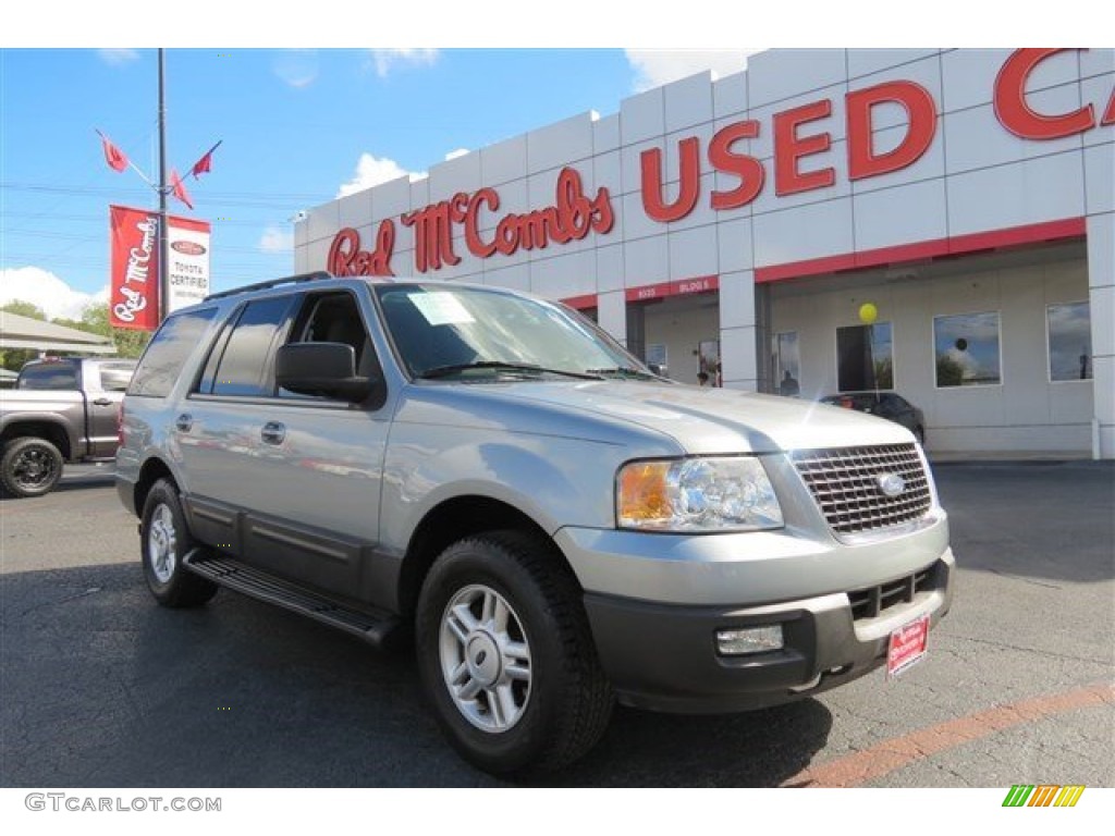 2006 Expedition XLT - Silver Birch Metallic / Medium Flint Grey photo #1