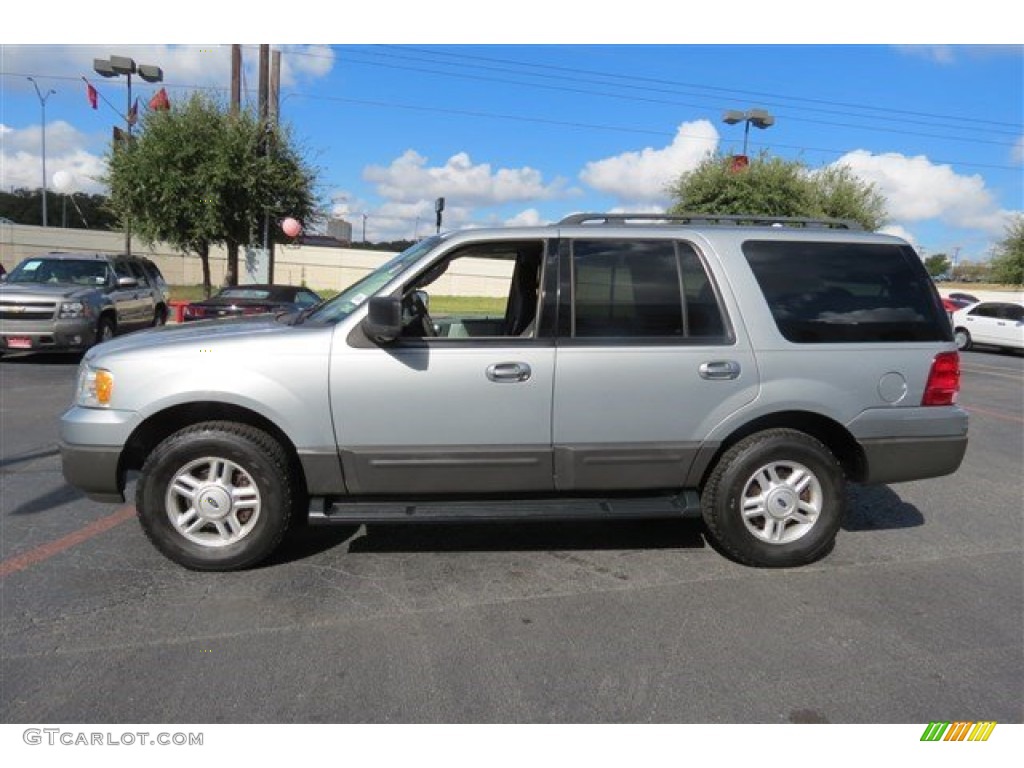 Silver Birch Metallic 2006 Ford Expedition XLT Exterior Photo #97240954