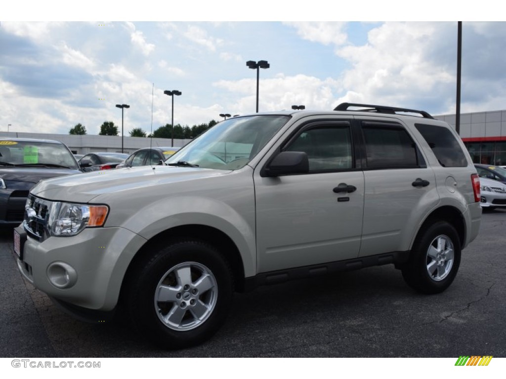 2009 Escape XLT V6 - Light Sage Metallic / Camel photo #3