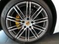 2015 Porsche Panamera Turbo S Executive Wheel and Tire Photo