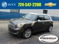 Royal Gray Metallic - Cooper Countryman Photo No. 1