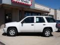 2002 Summit White Chevrolet TrailBlazer LS  photo #10