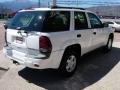 2002 Summit White Chevrolet TrailBlazer LS  photo #14