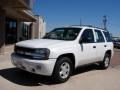 2002 Summit White Chevrolet TrailBlazer LS  photo #18