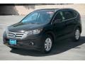 Crystal Black Pearl - CR-V EX-L Photo No. 8
