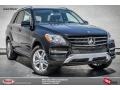 Black - ML 350 Photo No. 1
