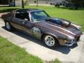 Silver Bronze - Camaro Z28 Custom Photo No. 2