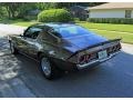 Silver Bronze - Camaro Z28 Custom Photo No. 4