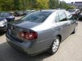 Platinum Grey Metallic - Jetta SE Sedan Photo No. 5