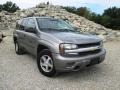 Graystone Metallic 2005 Chevrolet TrailBlazer LS 4x4