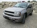 Graystone Metallic - TrailBlazer LS 4x4 Photo No. 2