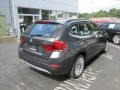 Mineral Grey Metallic - X1 xDrive28i Photo No. 6
