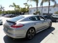 Platinum Silver Metallic - Panamera Turbo Photo No. 2