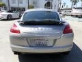 Platinum Silver Metallic - Panamera Turbo Photo No. 3