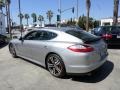 Platinum Silver Metallic - Panamera Turbo Photo No. 4