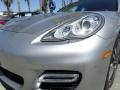 Platinum Silver Metallic - Panamera Turbo Photo No. 22