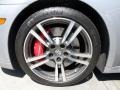 Platinum Silver Metallic - Panamera Turbo Photo No. 23