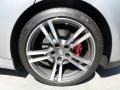 Platinum Silver Metallic - Panamera Turbo Photo No. 24
