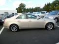 Gold Mist - CTS 4 AWD Sedan Photo No. 8