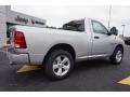 Bright Silver Metallic - 1500 Express Regular Cab Photo No. 7