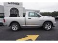 Bright Silver Metallic - 1500 Express Regular Cab Photo No. 8