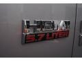 Bright Silver Metallic - 1500 Express Regular Cab Photo No. 13