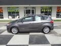 Sterling Gray - C-Max Energi Photo No. 1