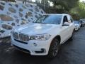Alpine White - X5 xDrive35i Photo No. 9