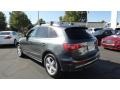 Daytona Gray Pearl Effect - Q5 3.2 FSI quattro Photo No. 6