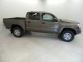 Pyrite Mica - Tacoma V6 PreRunner Double Cab Photo No. 1