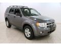 2009 Sterling Grey Metallic Ford Escape XLT  photo #1