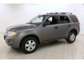Sterling Grey Metallic 2009 Ford Escape XLT Exterior