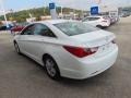 Shimmering White - Sonata GLS Photo No. 6
