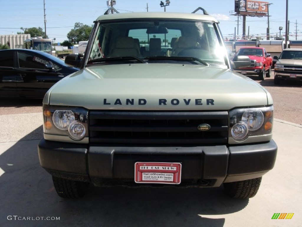 2003 Discovery S - Vienna Green / Alpaca Beige photo #10