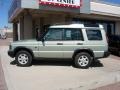 2003 Vienna Green Land Rover Discovery S  photo #15