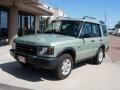 2003 Vienna Green Land Rover Discovery S  photo #17
